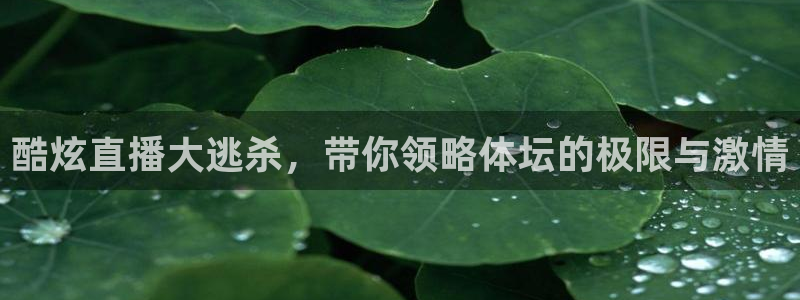 飞速直播nba无插件直播：酷炫直播大逃杀，带你领略体坛的极限与激情